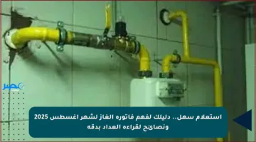 استعلام سهل.. دليلك لفهم فاتورة الغاز لشهر أغسطس 2025 ونصائح لقراءة العداد بدقة